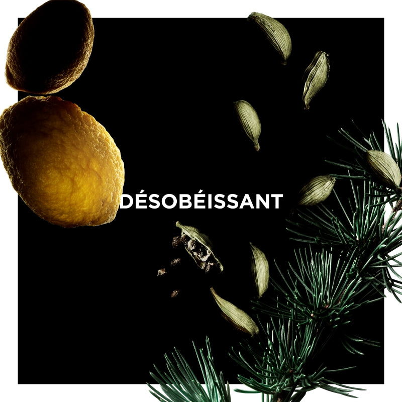 DESOBEISSANT